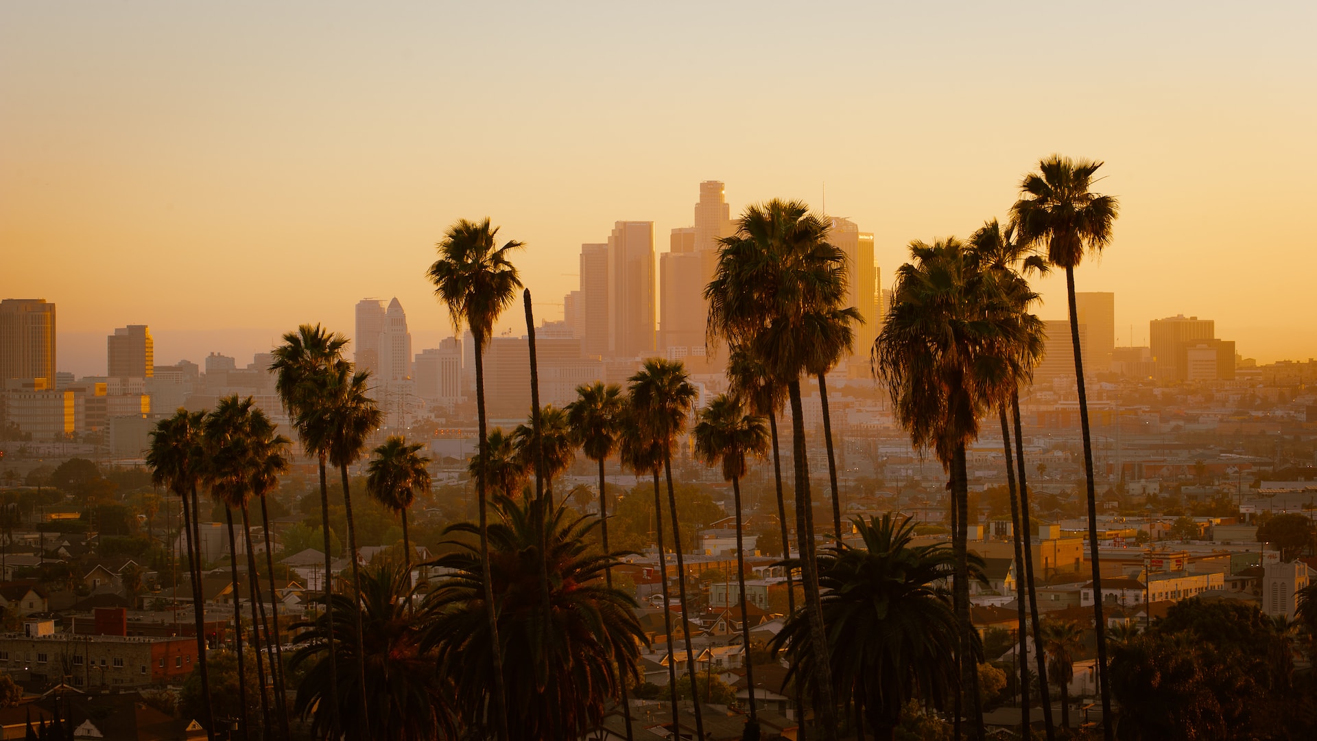 los angeles photography